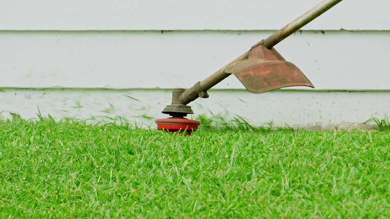 Best Pest Control for Lawns  in Charleroi, PA